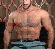 MASTER-MUSCLE-BEAR Escort Gay Avellino